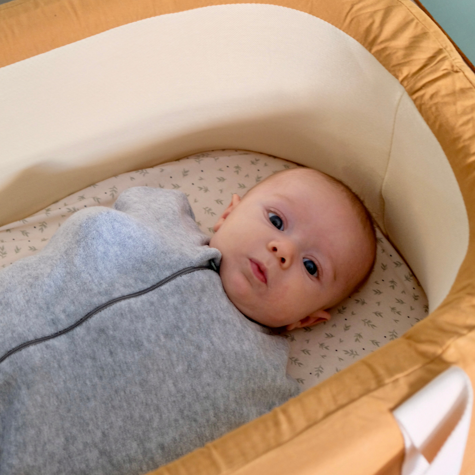 emmallotage enmaillotage enmayotage emaillotage emmailotage bebe emmaillotage emaillotage bebe emmaillotage bébé emmaillotage couverture emmaillotage emmaillotage couverture couverture d'emmaillotage
gigoteuse emmaillotage emmaillotage gigoteuse couverture d emmaillotage
couverture emmaillotage bébé emmaillotage bébé nuit