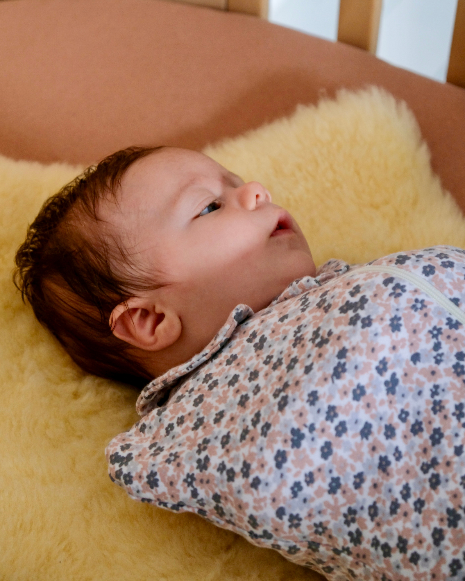 emmallotage enmaillotage enmayotage emaillotage emmailotage bebe emmaillotage emaillotage bebe emmaillotage bébé emmaillotage couverture emmaillotage emmaillotage couverture couverture d'emmaillotage
gigoteuse emmaillotage emmaillotage gigoteuse couverture d emmaillotage
couverture emmaillotage bébé emmaillotage bébé nuit